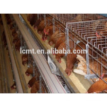 Sistema de alimentação automático das aves domésticas da venda quente do fabricante de China